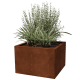 Plantenbakken Plantenbakken