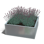 Rechthoekige plantenbakken