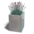 Vierkante plantenbakken