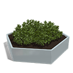 Zeshoekige plantenbakken
