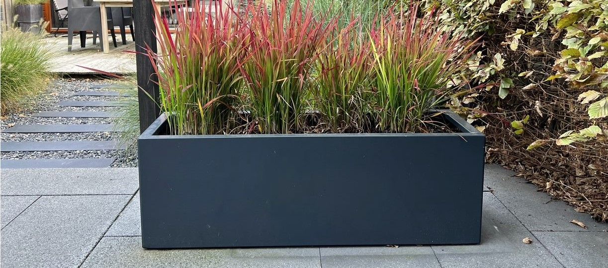 Rechthoekige plantenbakken