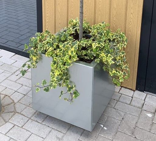 Vierkante plantenbakken