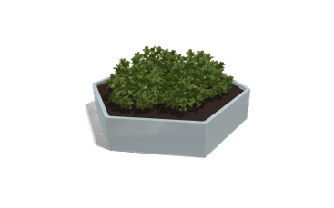 Zeshoekige plantenbakken