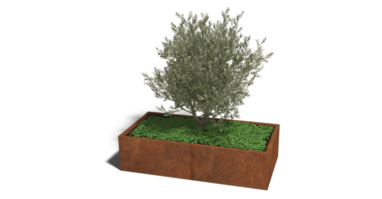 Cortenstaal plantenbak Texas xxl 1600x800
