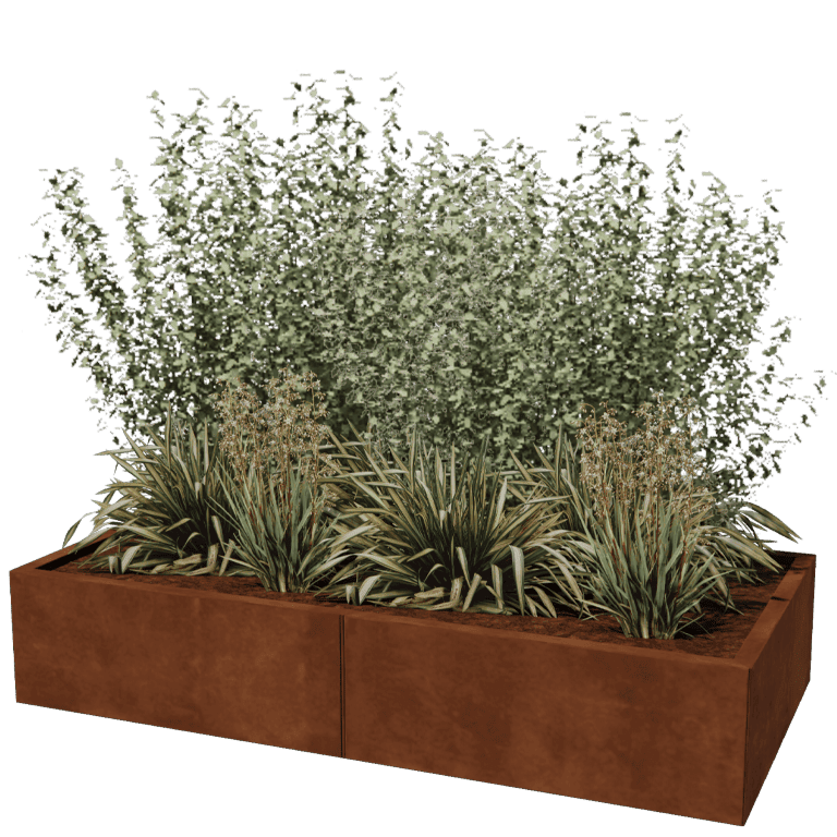 Cortenstaal plantenbak Texas xxl 160 x 80 cm
