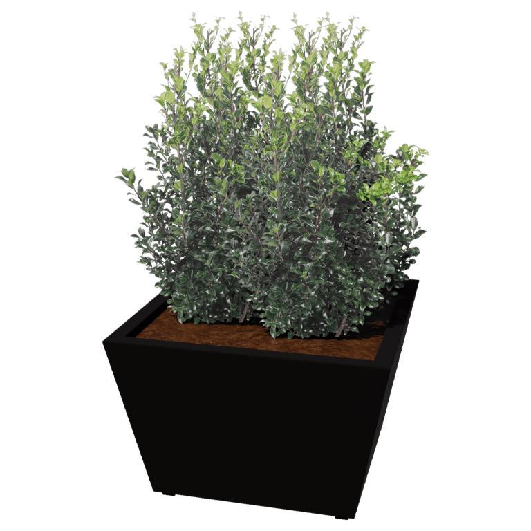 Gepoedercoat staal gelaste plantenbak Cone 80 x 80 x 50 cm