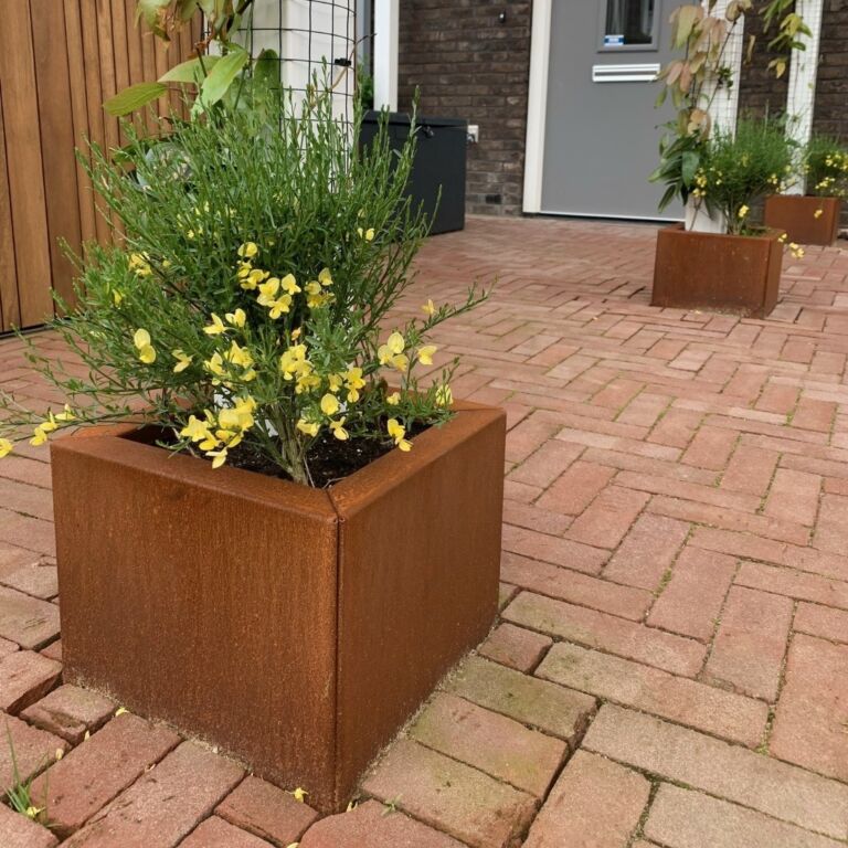 Cortenstaal plantenbak Miami 300x300