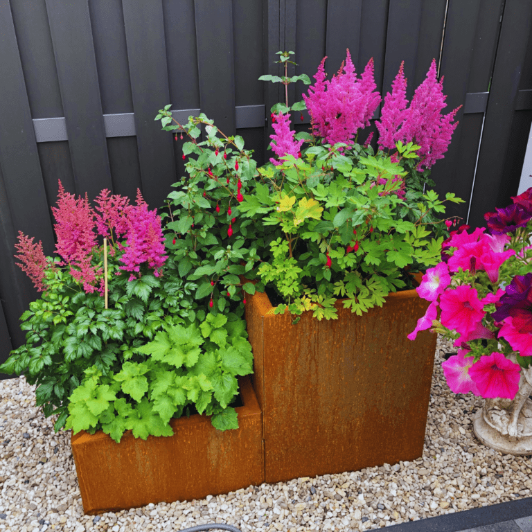 Cortenstaal plantenbak Miami special II 500