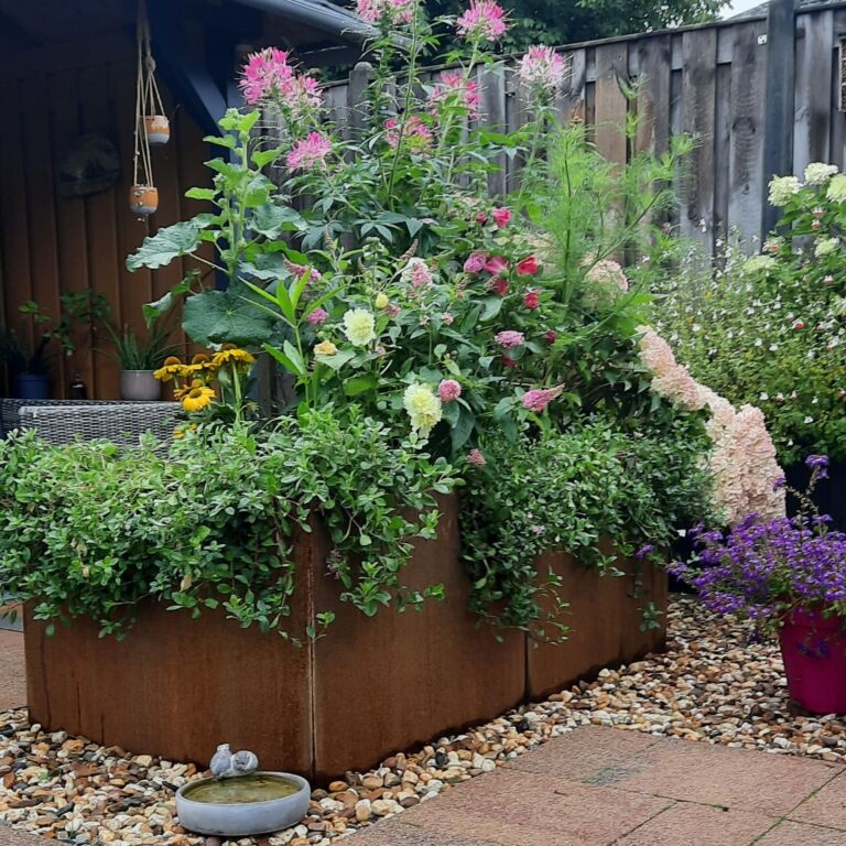 Cortenstaal plantenbak Texas xxl 1600x800