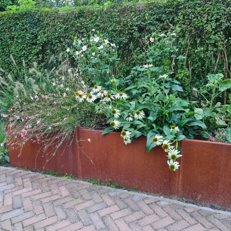 Cortenstaal plantenbak Texas xxl 3000x800