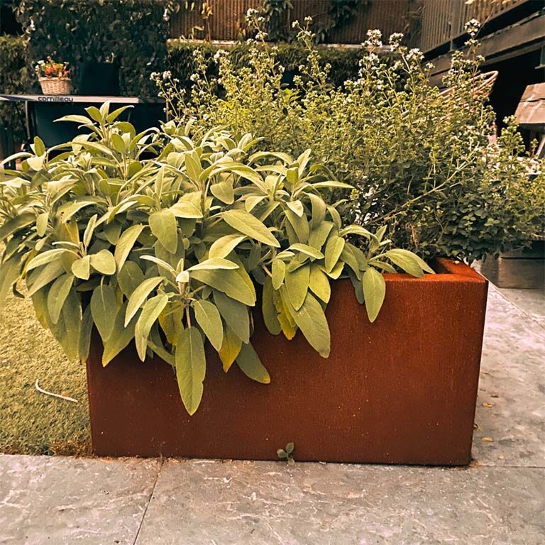 Cortenstaal plantenbak Texas 50 x 60 cm