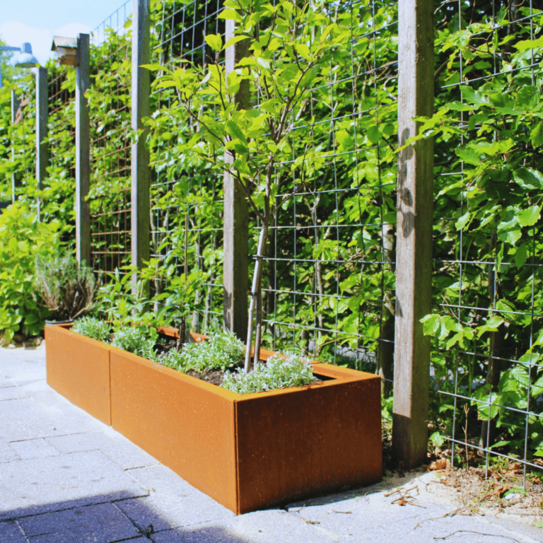 Cortenstaal plantenbak Texas xxl 1600x400