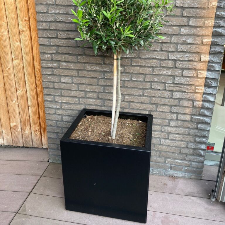 Gepoedercoat staal plantenbak Texas 500x600
