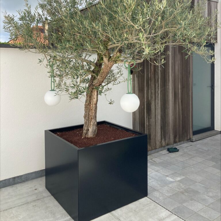 Gepoedercoat staal plantenbak Miami 1000x1000
