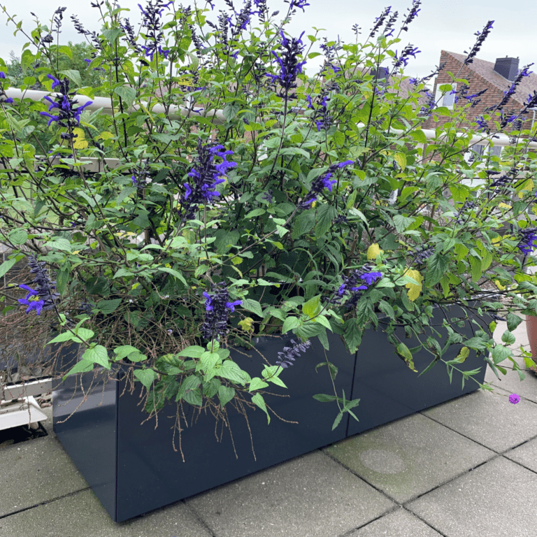 Gepoedercoat staal plantenbak Texas xxl 1600x500