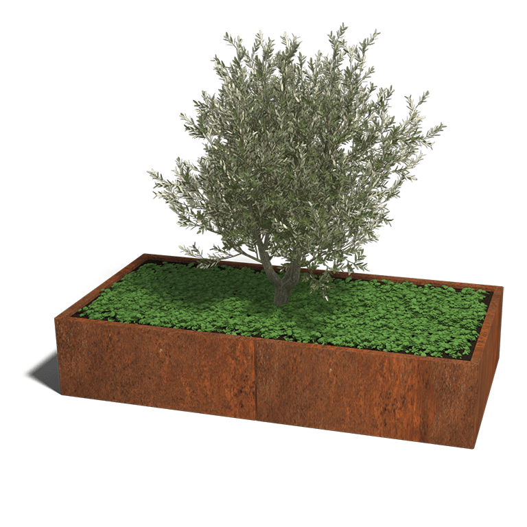 Cortenstaal plantenbak Texas xxl 200 x 100 cm