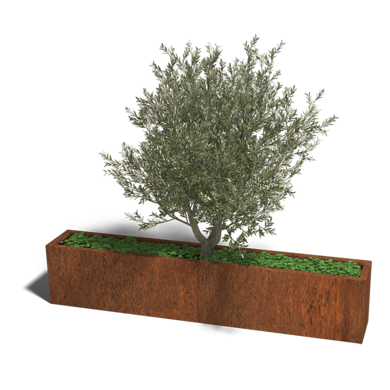 Cortenstaal plantenbak Texas xxl 200 x 30 cm