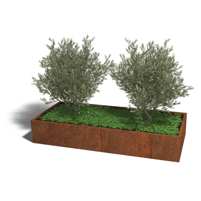Cortenstaal plantenbak Texas xxl 240 x 100 cm