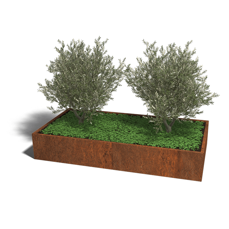 Cortenstaal plantenbak Texas xxl 240 x 120 cm