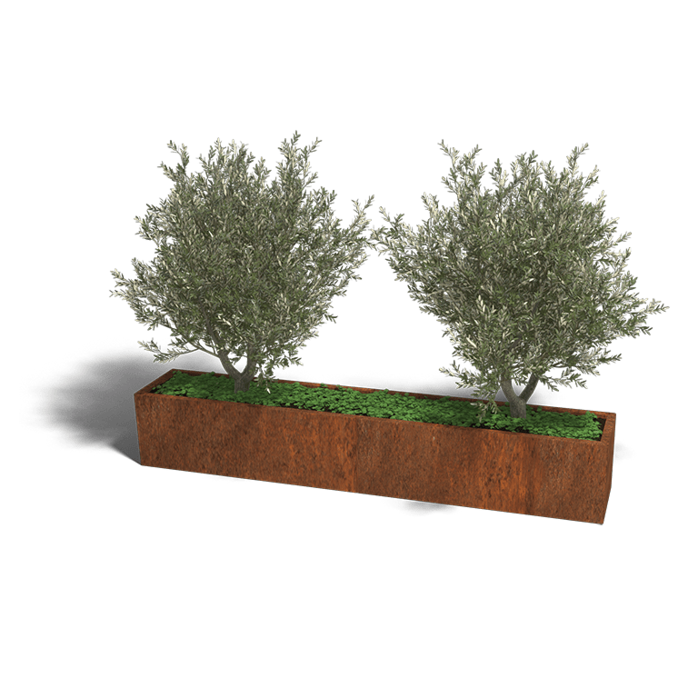 Cortenstaal plantenbak Texas xxl 2400x400