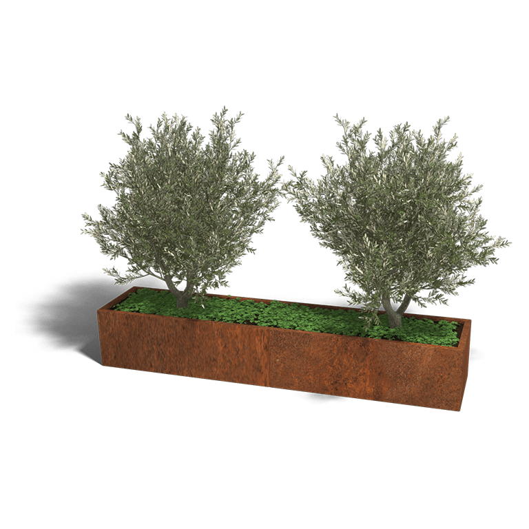 Cortenstaal plantenbak Texas xxl 240 x 50 cm