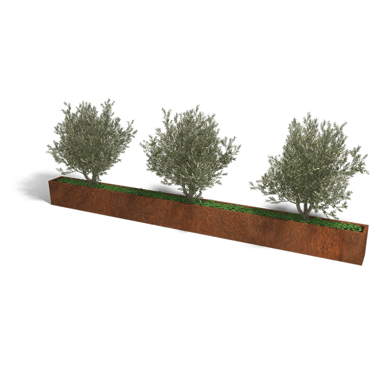 Cortenstaal plantenbak Texas xxl 480 x 30 cm