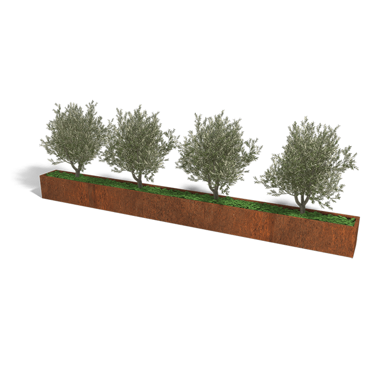 Cortenstaal plantenbak Texas xxl 500 x 40 cm