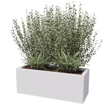 Stalen plantenbak - Rechthoek - 80 x 30 x 40 cm - Andere RAL kleur - Met bodemplaat - Met poten