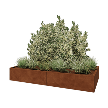 Cortenstaal plantenbak XXL - Rechthoek - 200 x 100 x 30 cm - Met bodemplaat