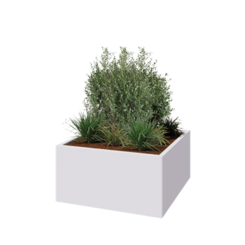 Stalen plantenbak - Vierkant - 100 x 100 x 50 cm - RAL9010 mat (wit) - Zonder bodemplaat