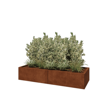 Cortenstaal plantenbak XXL - Rechthoek - 160 x 60 x 30 cm - Zonder bodemplaat