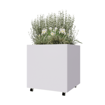 Stalen plantenbak - Vierkant - 80 x 80 x 80 cm - RAL9010 mat (wit) - Met bodemplaat - Met wielen