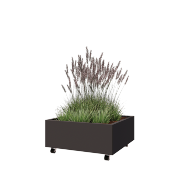 Stalen plantenbak - Vierkant - 80 x 80 x 30 cm - Andere RAL kleur - Met bodemplaat - Met wielen