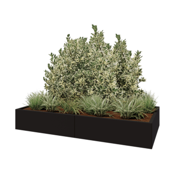 Stalen plantenbak XXL - Rechthoek - 200 x 100 x 30 cm - RAL9005 mat (zwart) - Zonder bodemplaat