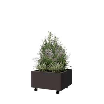 Stalen plantenbak - Vierkant - 60 x 60 x 30 cm - RAL7016 mat (antraciet grijs) - Met bodemplaat - Met wielen