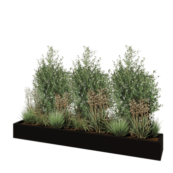 Polyester plantenbak - Rechthoek - 200 x 30 x 20 cm - RAL9005 mat (zwart) - Met bodem