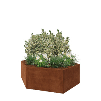 Cortenstaal plantenbak - Zeshoek - 199,3 x 173,2 x 60 cm - Zonder bodemplaat