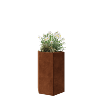Cortenstaal plantenbak - Zeshoek - 59,3 x 52 x 80 cm - Met bodemplaat