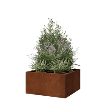 Cortenstaal plantenbak - Vierkant - 60 x 60 x 30 cm - Zonder bodemplaat