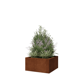 Cortenstaal plantenbak - Vierkant - 60 x 60 x 30 cm - Zonder bodemplaat