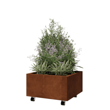 Cortenstaal plantenbak - Vierkant - 60 x 60 x 30 cm - Met bodemplaat - Met wielen