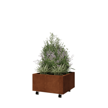 Cortenstaal plantenbak - Vierkant - 60 x 60 x 30 cm - Met bodemplaat - Met wielen