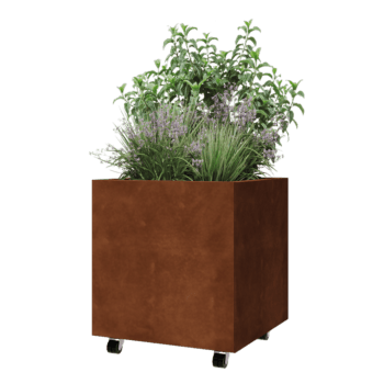 Cortenstaal plantenbak - Vierkant - 60 x 60 x 60 cm - Met bodemplaat - Met wielen
