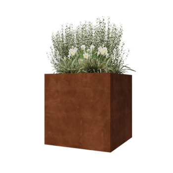 Cortenstaal plantenbak - Vierkant - 80 x 80 x 80 cm - Zonder bodemplaat