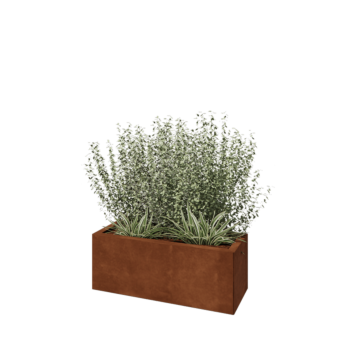Cortenstaal plantenbak - Rechthoek - 80 x 30 x 30 cm - Met bodemplaat