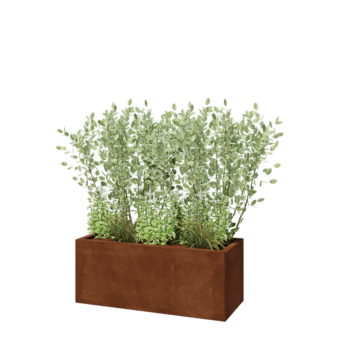Cortenstaal plantenbak - Rechthoek - 100 x 40 x 40 cm - Met bodemplaat