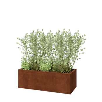 Cortenstaal plantenbak - Rechthoek - 120 x 50 x 40 cm - Zonder bodemplaat