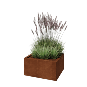 Cortenstaal plantenbak - Rechthoek - 60 x 50 x 30 cm - Zonder bodemplaat