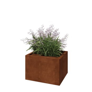 Cortenstaal plantenbak - Rechthoek - 60 x 50 x 40 cm - Zonder bodemplaat