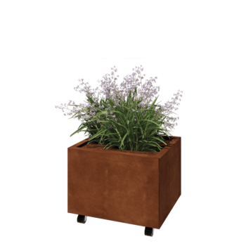 Cortenstaal plantenbak - Rechthoek - 60 x 50 x 40 cm - Met bodemplaat - Met wielen